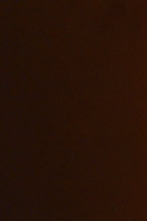 Special Award Winner Alejandro González Iñárritu speaks onstage at the Academy of Motion Picture Arts and Sciences' 9th Annual Governors Awards on November 11, 2017. Photo by Kevin Winter/Getty Images