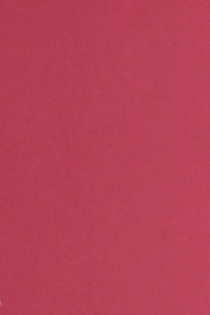 Honoree Selena Gomez and Francia Raisa attend Billboard Women In Music 2017 at The Ray Dolby Ballroom at Hollywood & Highland Center on November 30, 2017 in Hollywood, California. Photo by Michael Kovac/Getty Images for Billboard