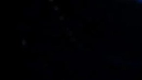 Guillermo Rigondeaux looks on after his super bantamweight championship bout against Moises Flores. Photo by Christian Petersen/Getty Images Sport