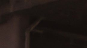 Courtesy of Club Ruido