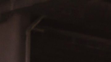 Courtesy of Club Ruido