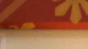 "Visualizing Language: Oaxaca in L.A." Photo by Samanta Helou for Remezcla.