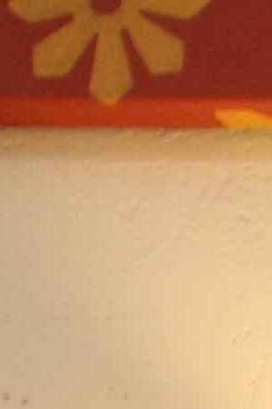 "Visualizing Language: Oaxaca in L.A." Photo by Samanta Helou for Remezcla.