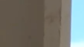 After María. Photo by Remezcla.