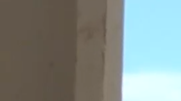 After María. Photo by Remezcla.