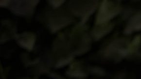 Courtesy of Comunité Festival