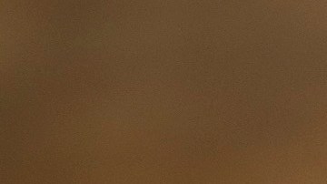 Strawberry tamal at Taco María. Courtesy of Taco María