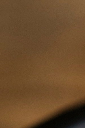 Strawberry tamal at Taco María. Courtesy of Taco María