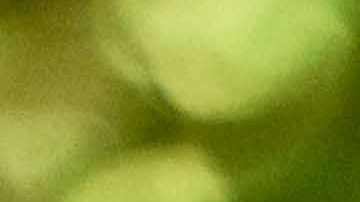 The Marías. Photo by Lorena Endara for Remezcla