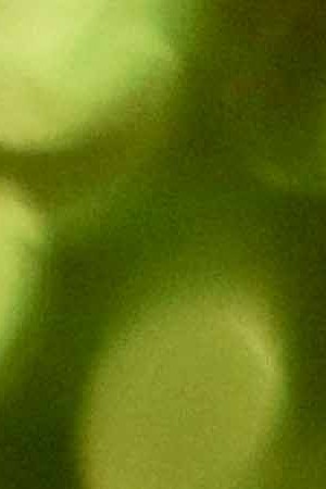 The Marías. Photo by Lorena Endara for Remezcla