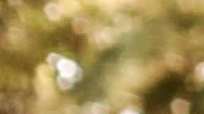 The Marías. Photo by Lorena Endara for Remezcla