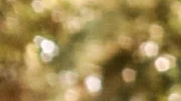 The Marías. Photo by Lorena Endara for Remezcla