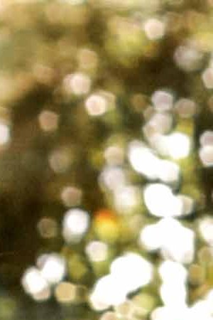 The Marías. Photo by Lorena Endara for Remezcla