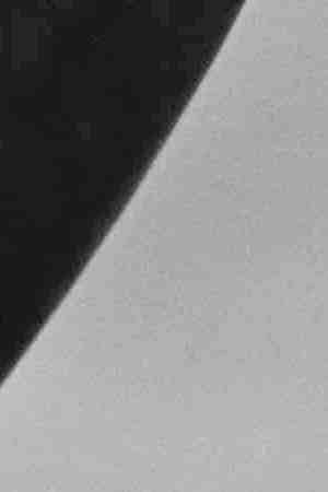 Photo by Toni Frissell for Vogue. Courtesy of the US Library of Congress