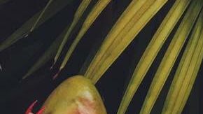 Photo by Ruth In Truth Visuals