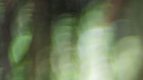 'To End a War' still courtesy of the filmmaker