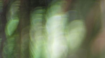 'To End a War' still courtesy of the filmmaker