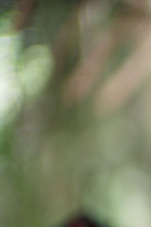 'To End a War' still courtesy of the filmmaker