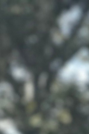 Photo courtesy of Wendy Carrillo