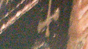 Darren Criss as Andrew Cunanan, Mike Farrell as Lee Miglin in 'The Assassination of Gianni Versace'. Photo by Matt Dinerstein. Courtesy of FX Networks