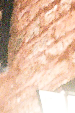 Darren Criss as Andrew Cunanan, Mike Farrell as Lee Miglin in 'The Assassination of Gianni Versace'. Photo by Matt Dinerstein. Courtesy of FX Networks