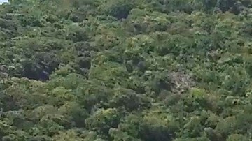 Photo by gustavofrazao/ iStock / Getty Images Plus