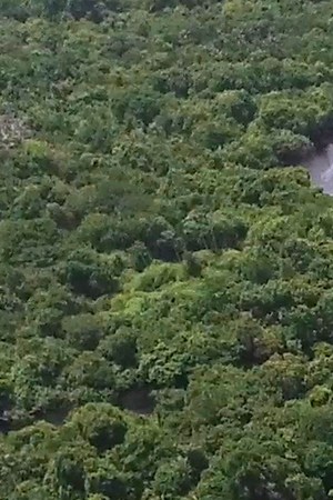 Photo by gustavofrazao/ iStock / Getty Images Plus