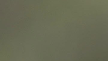 Jenny Martinez hugs her son, William Martinez, as they talk to the media about her trip from El Salvador and her need for asylum in America because of domestic violence and her fear for her life as they join with protesters in front of the United States Citizenship and Immigration Services building.  Photo by Joe Raedle/Getty Images