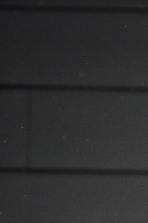 Photo by Jennifer Reed / EyeEm