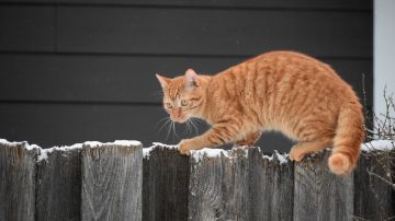 Photo by Jennifer Reed / EyeEm