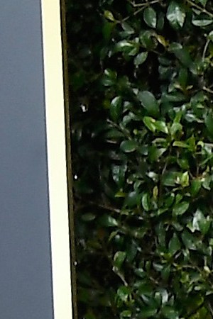 BEVERLY HILLS, CA - JANUARY 07:  (L-R) Actors Reese Witherspoon, Eva Longoria, Salma Hayek, and Ashley Judd attend The 75th Annual Golden Globe Awards at The Beverly Hilton Hotel on January 7, 2018 in Beverly Hills, California.  (Photo by Frazer Harrison/Getty Images)