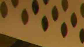 Photo by Jjacob/ iStock / Getty Images Plus