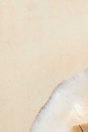 Krystal Quiles art supplies. Photo by Itzel Alejandra Martinez for Remezcla