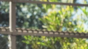 'One Day At A Time' season 2. Photo by Mike Yarish. Courtesy of Netflix