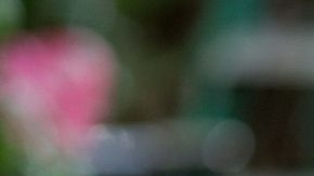 Photo by Holly Reynoso for Remezcla