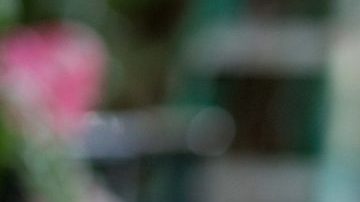 Photo by Holly Reynoso for Remezcla