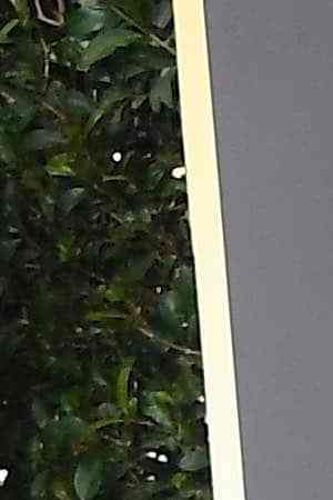 Activist Mónica Ramírez and Laura Dern attend The 75th Annual Golden Globe Awards at The Beverly Hilton Hotel on January 7, 2018 in Beverly Hills, California.  Photo by Frazer Harrison/Getty Images