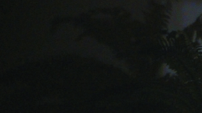 Courtesy of Omar Apollo