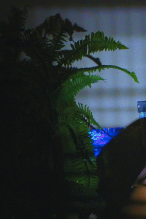 Courtesy of Omar Apollo