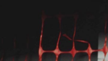 Courtesy of Salviatek