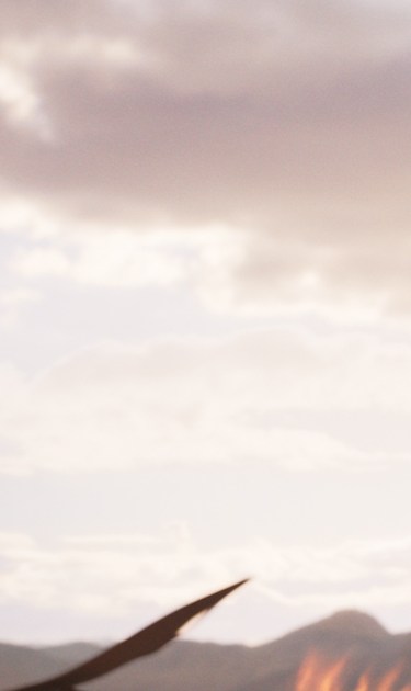 Chadwick Boseman as T'Challa in 'Black Panther' film still. Courtesy of Marvel Studios