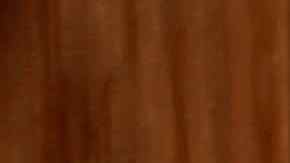 Photo by ChiccoDodiFC/ iStock / Getty Images Plus