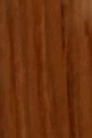 Photo by ChiccoDodiFC/ iStock / Getty Images Plus