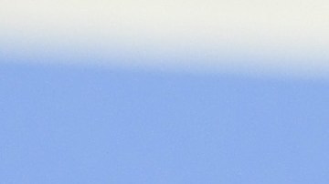 Daniela Vega attends the award winners press conference during the 67th Berlinale International Film Festival Berlin at Grand Hyatt Hotel. Photo by Matthias Nareyek/Getty Images