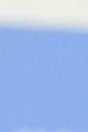 Daniela Vega attends the award winners press conference during the 67th Berlinale International Film Festival Berlin at Grand Hyatt Hotel. Photo by Matthias Nareyek/Getty Images