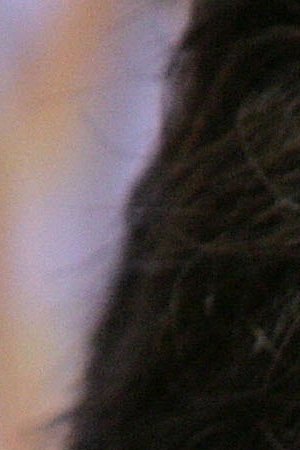 Edward James Olmos arrives at the 2nd Annual Noche De Ninos at the Beverly Hills Hotel, on October 7,2006. Photo by Frazer Harrison/Getty Images