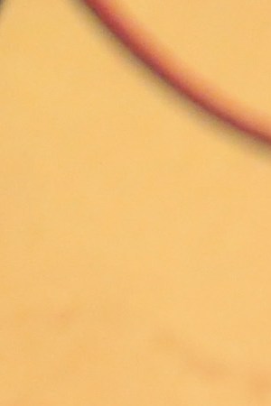 Rodrigo Santoro attends HBO's Post Emmy Awards Reception on September 17, 2017 in Los Angeles, California. Photo by Frederick M. Brown/Getty Images