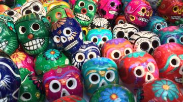 Photo by Enrique Garcia/ iStock / Getty Images Plus