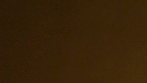 Whoopi Goldberg, Meg Ryan, Molly Shannon, Cardi B, Brad Walsh and Jaimie Alexander attend the Christian Siriano fashion show during New York Fashion Week at Grand Lodge.  Photo by Dimitrios Kambouris/Getty Images