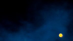 Photo by Camilo Santana. Courtesy of Marimba